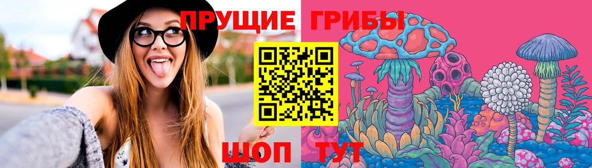 Саранск  Галлюциногенные грибы Cubensis  Вход с VPN 