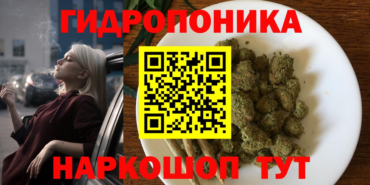 Саранск  Канабис OG Kush  Каннабис планчик  Вход с VPN  Бошки марихуана индика  Бошки Шишки LSD WEED 